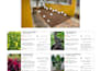 design your garden landscape